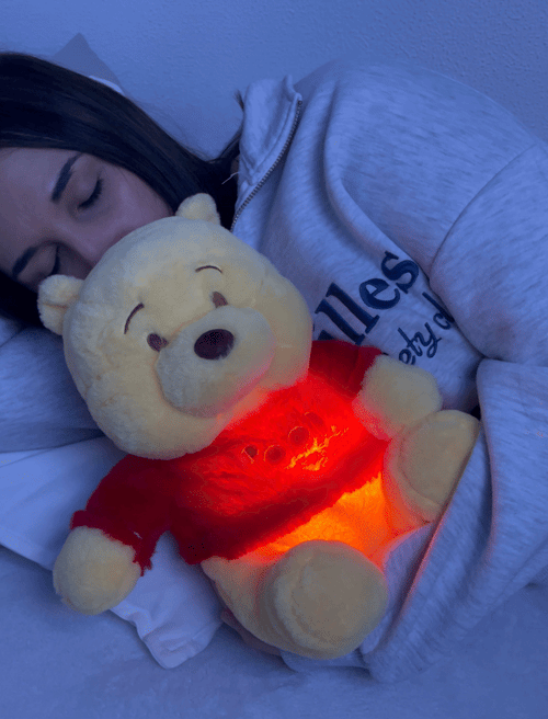Pooh Uyku Arkadaşı